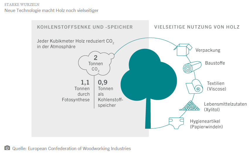 Pictet - Grafik 2- Starke Wurzeln